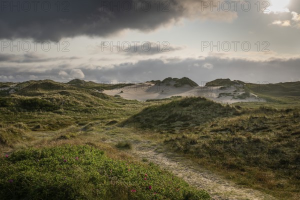 A narrow sandy path leads through a grassy landscape with dunes and dark clouds, near Hvide Sande, Jutland, Denmark