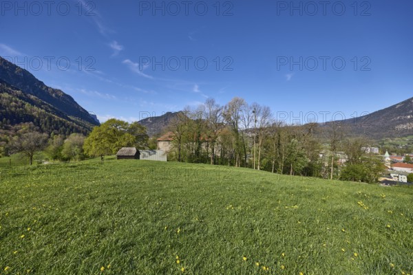 Castle Gruttenstein, mountain landscape, landscape photography, hills, mountains, coniferous forest, trees, meadow, blue sky, cirrostratus clouds, Bad Reichenhall, district Berchtesgadener Land, Bavaria, Germany