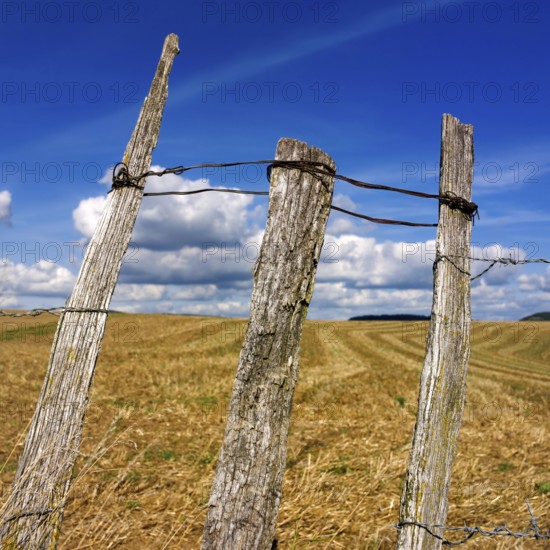 Three weathered wooden posts rise above a golden field, surrounded by a vast landscape and dotted clouds. This tranquil setting captures the beauty of rural France