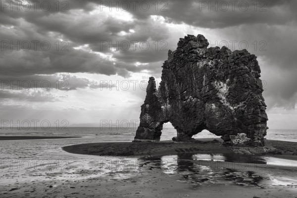 Basalt rock Hvitserkur, famous Elephant Rock on lava beach, coastline, dramatic cloudy sky, rain clouds, monochrome, Vatnsnes Peninsula, Hunafjördur, North Iceland, Iceland