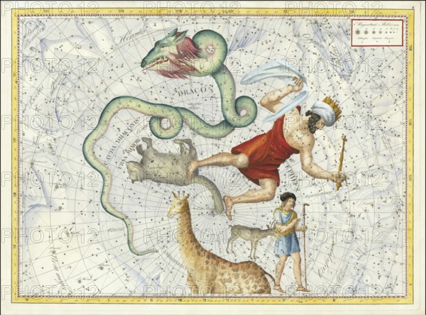 Sign of the zodiac, little bear, dragon, Cepheus, star chart, universe, astrology, horoscope, after Johann Elert Bode (19 January 1747 to 23 November 1826), Prussian astronomer
