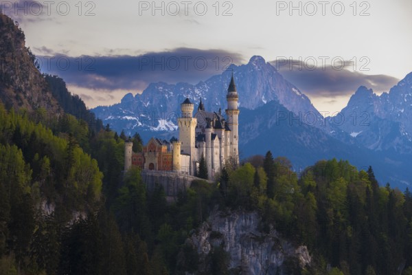 Picturesque Neuschwanstein Castle in a picturesque Alpine landscape, Schwangau near Füssen, Ostallgäu district, Swabia, Bavaria, Germany