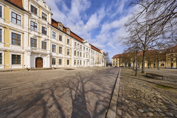 State parliament, historical buildings, baroque architectural style, bare wintry trees, blue sky, cumulus clouds, cathedral square, Magdeburg, state capital, independent city, Saxony-Anhalt, Germany