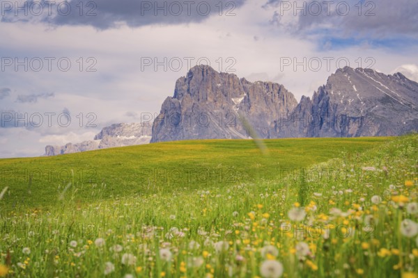 Imposing rocks above a colourful meadow in front of a cloudy sky, Alpe di Siusi, Dolomites, South Tyrol, Italy