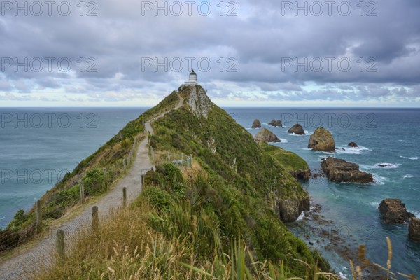 A path stretches to a lighthouse along the green coast with sea views, summer, Nugget Point Lighthouse, Ahuriri Flat, Otago, South Island, New Zealand
