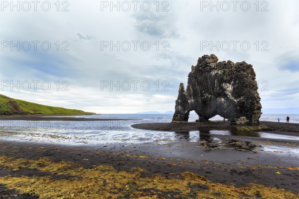 Tourists at the basalt rock Hvitserkur, famous Elephant Rock on the lava beach, coastline, Vatnsnes peninsula, Hunafjördur, North Iceland, Iceland