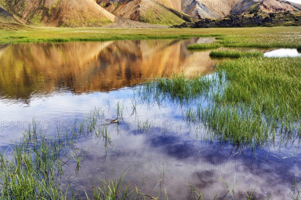 Volcanic landscape, colourful rhyolite mountains, reflection in water, Landmannalaugar, remote hiking area in Fjallabak nature reserve, Laugavegur hiking trail, Suðurland, Sudurland, Icelandic highlands, Iceland