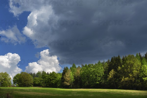 Landscape with heap and rain clouds, Bavarian Forest, Bavaria, Germany