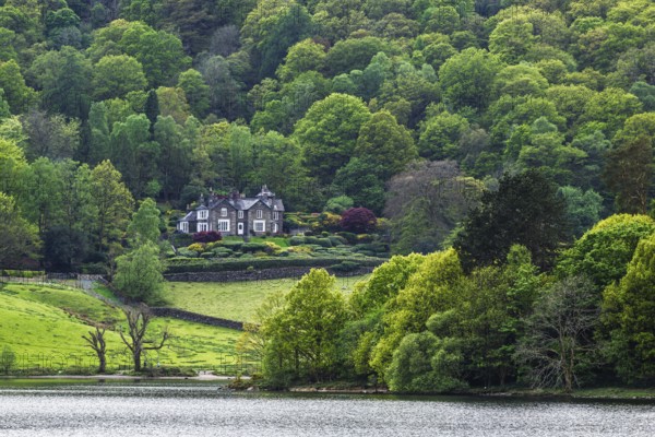 Grasmere Lake, Grasmere, Ambleside, Lake District, Westmorland, Cumbria, England, United Kingdom