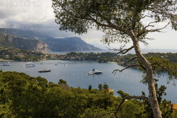Panorama, View from Mont Boron, Saint-Jean-Cap-Ferrat, Cap Ferrat, Alpes Maritimes, Provence Alpes Cote d'Azur, French Riviera, South of France, France