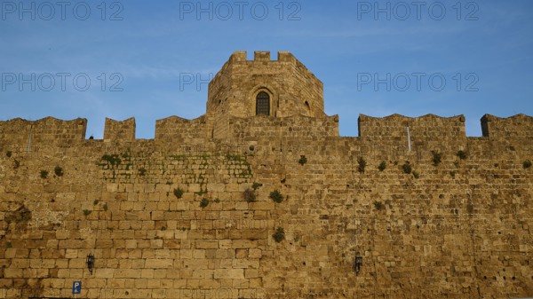 Tower, Rhodes city wall, Morning light, Robust medieval wall with battlements under a bright blue sky, Harbour area, Rhodes town, Rhodes, Dodecanese, Greek Islands, Greece