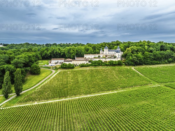Castle of La Riviere, Vineyard Chateau de La Riviere from a drone, Bordeaux, France