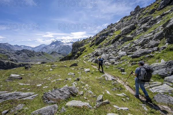 Mountaineer on hiking trail in mountain landscape, descent at Col du Louvie, view of the summit of the Grand Combine, Valais Alps, Val de Bagnes, Valais, Switzerland