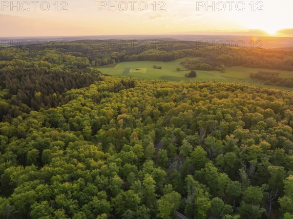 Sunset over a vast forest landscape with autumn-coloured trees, forest pasture project, compensatory measure for the Hermann Hesse Railway, Gechingen, Calw district, Germany