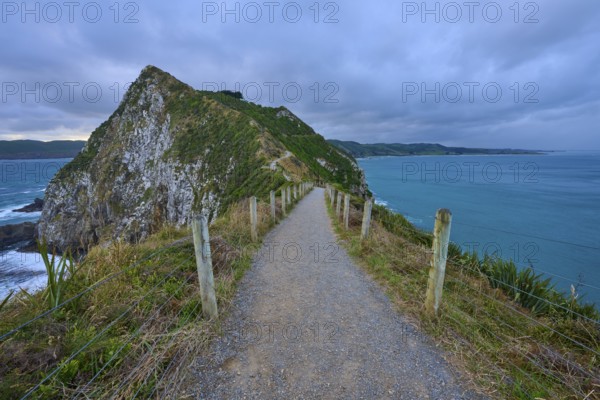 A narrow path leads along a cliff with a view of the stormy sea, summer, Nugget Point lighthouse, Ahuriri Flat, Otago, South Island, New Zealand