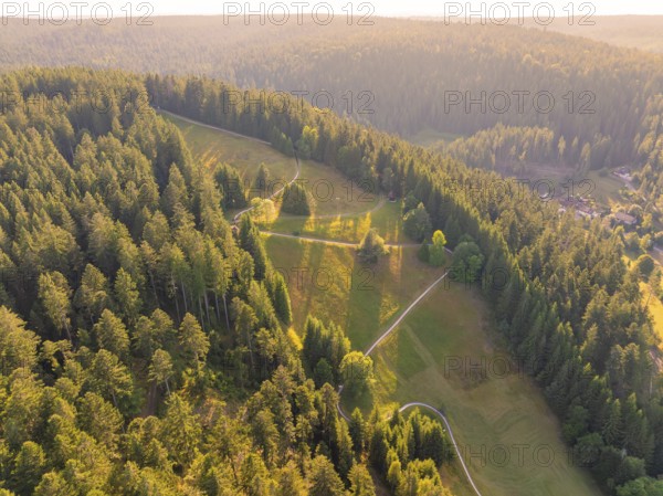 Natural landscape in a wooded area with meadows and paths in the light, Retro Freizeitpark Poppeltal giant slide, Enzklösterle, Black Forest, Germany