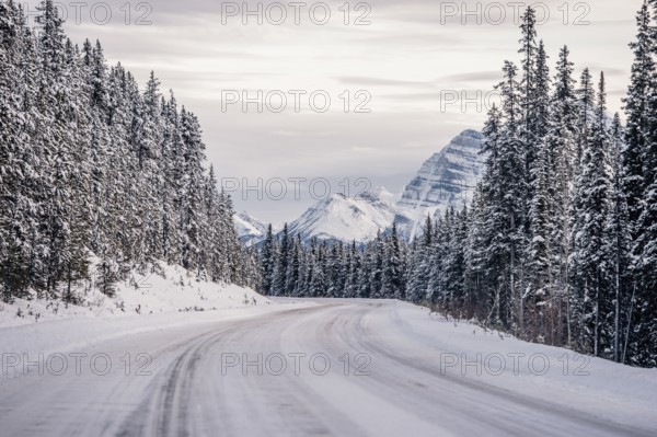Winter road trip on the Icefields Parkway with lots of snow and ice, Banff National Park, Jasper National Park, Alberta, Canada
