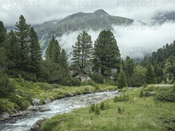 Windbach, Windbachtal, Krimmler Tauern, Pinzgau, Salzburg, Austria