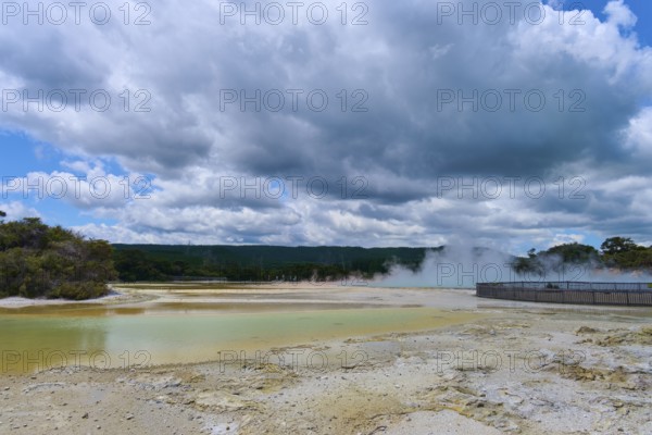 Vapour emissions from a geothermal area under a cloudy sky, surrounded by nature and trees, Wai-O-Tapu Thermal Wonderland, Rotorua, North Island, New Zealand