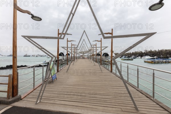 Harbour, Santa Cruz, Galapagos, Ecuador