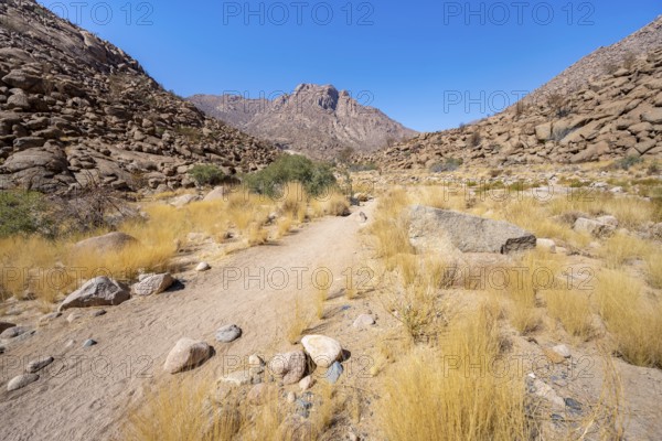 Tsisab Gorge, White Lady Trail, desert landscape with mountains, Brandberg, Erongo, Damaraland, Namibia