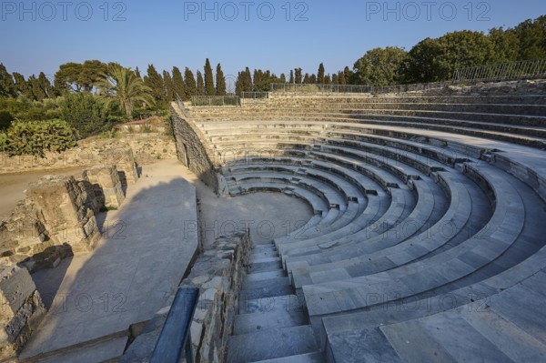 Ancient theatre with palm trees and trees, stone steps and summer surroundings, Ancient Theatre, Odeon, Kos Town, Kos, Dodecanese, Greek Islands, Greece