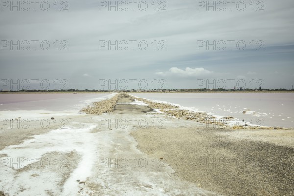 Saltworks, Salin-de-Giraud, Bouches-du-Rhône, Arles, France