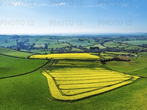 Rapeseed fields and Farms over Devon Windmill from a drone, Torquay, Devon, England, United Kingdom