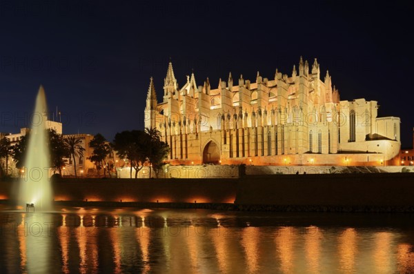 La Seu Cathedral or Cathedral of St Mary, night shot, Palma de Majorca, Majorca, Balearic Islands, Spain
