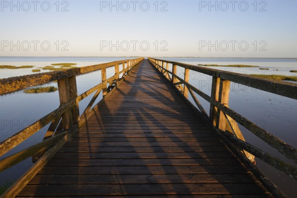 Wooden walkway in the Wadden Sea, Wadden Sea National Park, North Frisia, Schleswig-Holstein, Germany