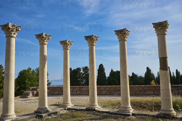 Ancient columns in front of a clear blue sky surrounded by cypresses, Temple of Apollo, Corinthian Columns, Asklipion, Asklepieion, Healing Temple, Temple, Hippocrates, Kos, Dodecanese, Greek Islands, Greece