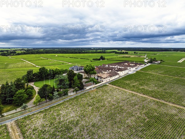 Chateau Pontet-Canet Vineyard and grape fields around Pauillac and Gironde Estuary from a drone, Bordeaux, Gironde, Nouvelle-Aquitaine, France