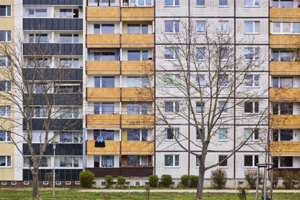 Residential building, high-rise buildings, facade, window, balcony, bare winter trees, diffuse light, Ebendorfer Chaussee, Magdeburg, state capital, independent city, Saxony-Anhalt, Germany