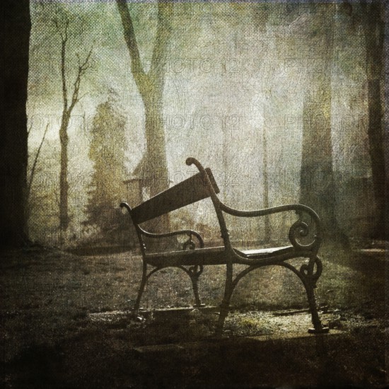 A solitary bench rests quietly in a serene garden in France, surrounded by trees shrouded in morning fog. The soft light creates a peaceful atmosphere for contemplation