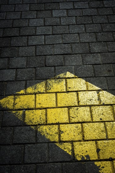A yellow arrow marking on dark textured pavement draws attention. The sunlight creates an interesting play of shadows, adding depth to the scene