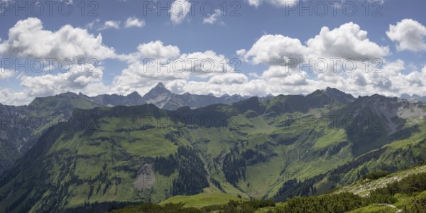 Mountain panorama from the Koblat high trail on the Nebelhorn over the Obertal valley with lush green alpine meadows to the Hochvogel and Rosszahn group with the Hochvogel, 2592m, Allgäu Alps, Allgäu, Bavaria, Germany