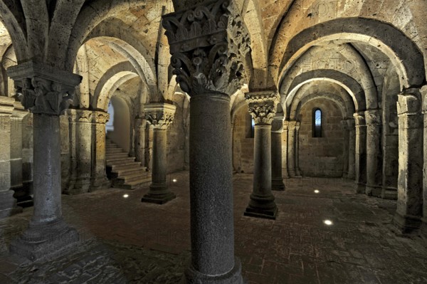 Vaults, columns and capitals in the underground grove of columns, pagan crypt, 10th century, atmospheric lighting, Cathedral of Acquapendente, Basilica of the Holy Sepulchre, Basilica Santo Sepolcro, Basilica minor, Aquapendente, Province of Viterbo, Lazio, Italy