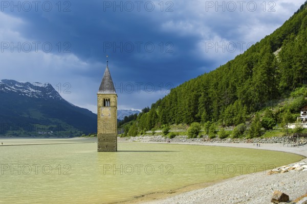 Bell tower of the former parish church of St Catherine in the sunken village of Alt-Graun in Lake Reschen in Vinschgau, South Tyrol, Italy