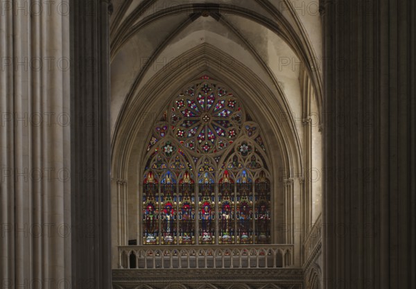 Interior view, stained glass window, coloured church windows, Cathédrale Notre-Dame de Bayeux, Bayeux, Calvados, France