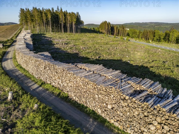 Pile of wood in a partially cleared forest area, felled spruces, with damage caused by the bark beetle, west of Langewiese, district of Winterberg in the Hochsauerlandkreis, North Rhine-Westphalia, Germany