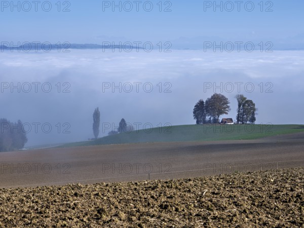 View from Schlatt to the sea of fog over the Reuss valley, Freiamt, Canton Aargau, Switzerland