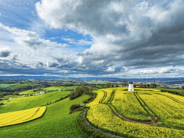 Rapeseed Fields and Farms over Torquay from a drone, Devon, England, United Kingdom