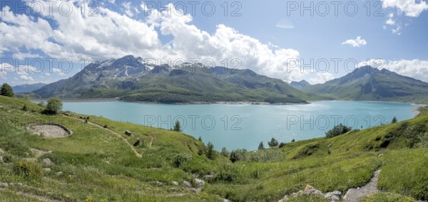 Panoramic view of Jardin Alpin in the foreground, Lac du Mont Cenis reservoir behind, Mont Cenis massif, Massif du Mont-Cenis, Graian Alps, Lanslebourg, Rhone-Alpes, France