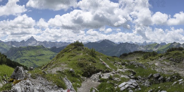 Mountain panorama from the Koblat high trail on the Nebelhorn over the Obertal valley with lush green alpine meadows to the Hochvogel and Rosszahn group with the Hochvogel, 2592m, Allgäu Alps, Allgäu, Bavaria, Germany