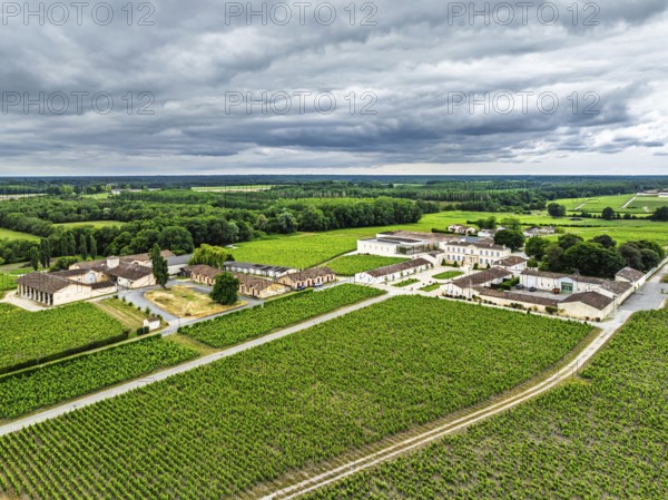 Vineyard of Chateau Branaire-Ducru from a drone, Saint-Julien-Beychevelle, France
