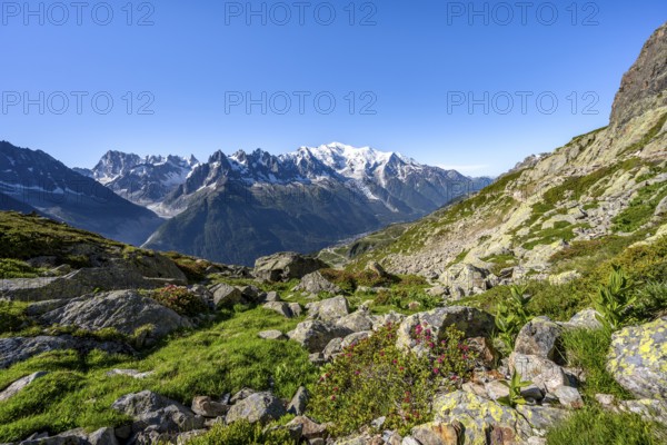 Mountain panorama with glaciated mountain peaks, Aiguille du Midi and Mont Blanc, Aiguille de Mesure and Aiguille de Chamois, Aiguilles Rouges, Chamonix, Haute-Savoie, France