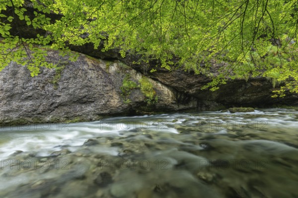 Wild and romantic Weißbach Gorge near Inzell