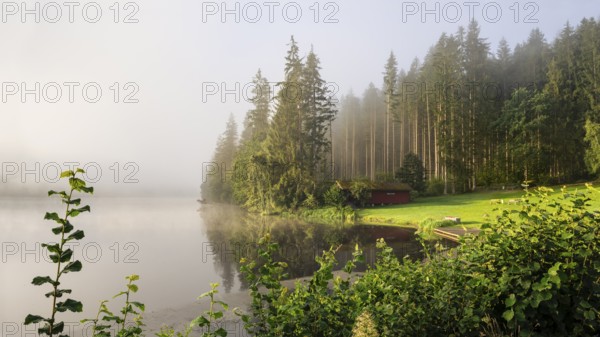 Lake Blaibach on a misty morning with sunshine. Blaibach, district of Cham, Upper Palatinate, Bavarian Forest, Bavaria, Germany