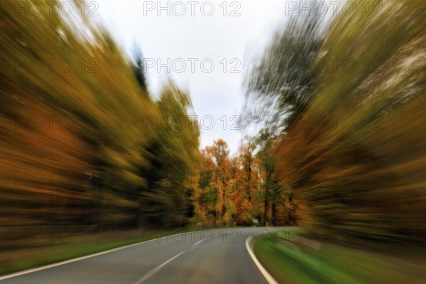 Winding country road through dark autumn forest, autumn leaves, limited visibility, cloudy weather, zoom effect, motion blur, Solling-Vogler nature park Park, Lower Saxony, Germany