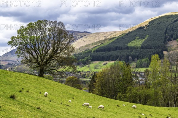Farm and mountains, Loch Earn, Southern Highlands, Scotland, United Kingdom